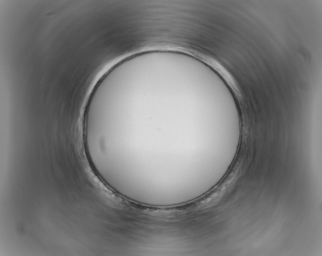 X0000111241004200907020955