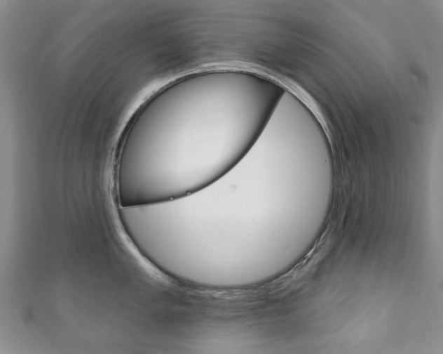 X0000111241005200907020955
