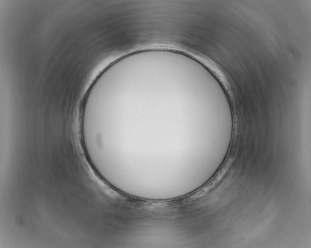 X0000111241006200907020955