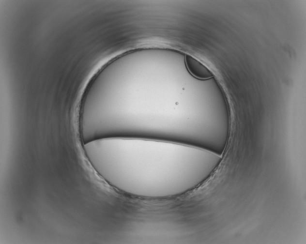 X0000111241008200907020955