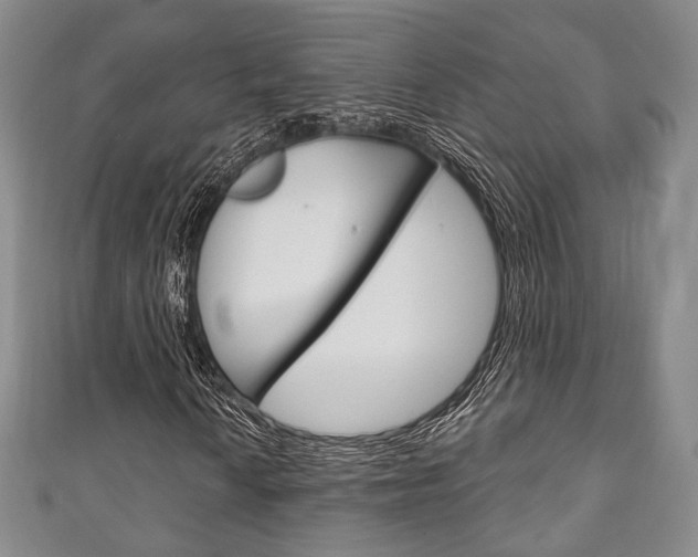 X0000111241010200907020954