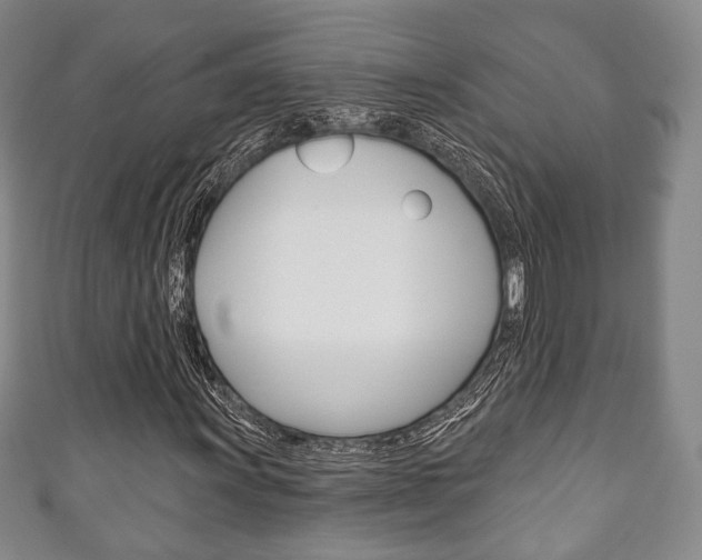 X0000111241011200907020954
