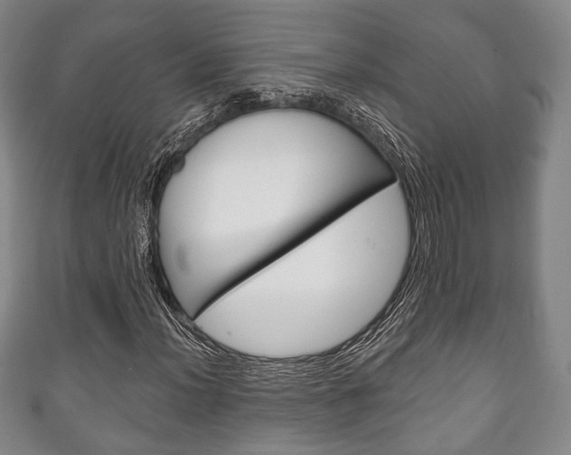 X0000111241012200907020954