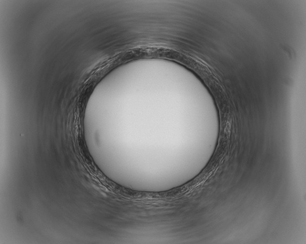 X0000111241014200907020954