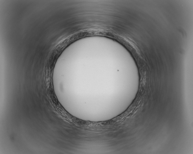 X0000111241015200907020954