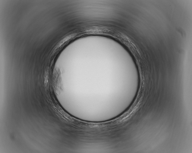 X0000111241017200907020954