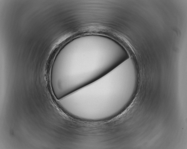 X0000111241018200907020954