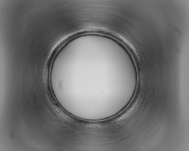 X0000111241021200907020954