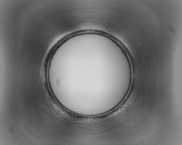 X0000111241022200907020954
