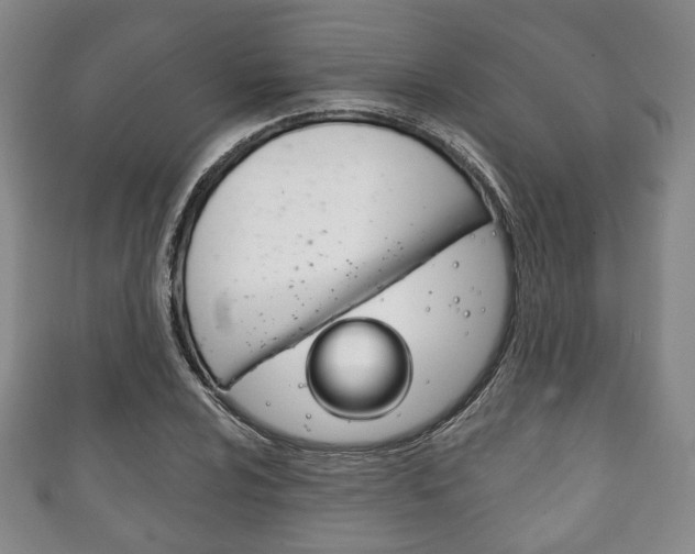 X0000111241024200907020954