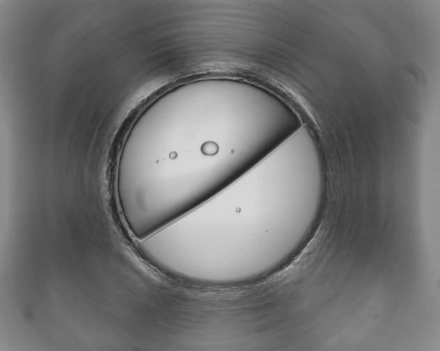 X0000111241026200907020954