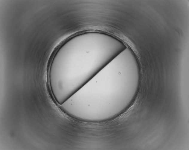 X0000111241028200907020954