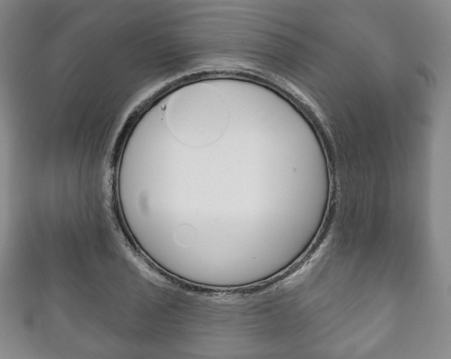X0000111241029200907020954
