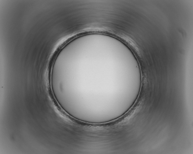X0000111241030200907020954