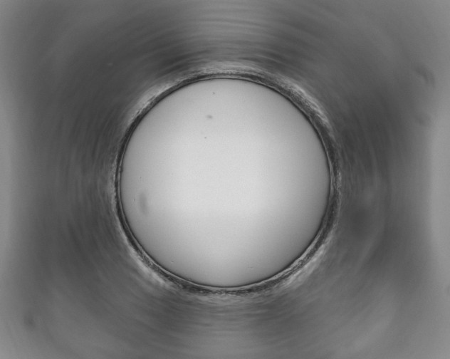 X0000111241033200907020954