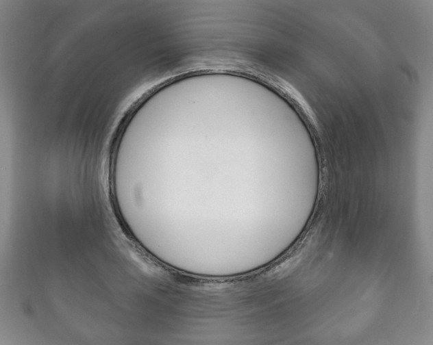 X0000111241035200907020955
