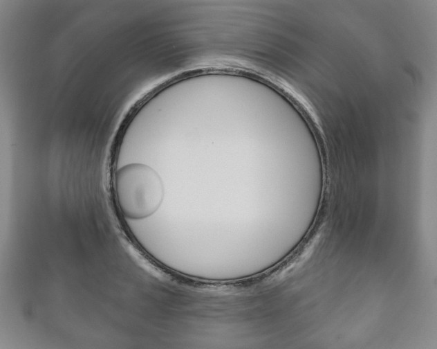X0000111241037200907020955