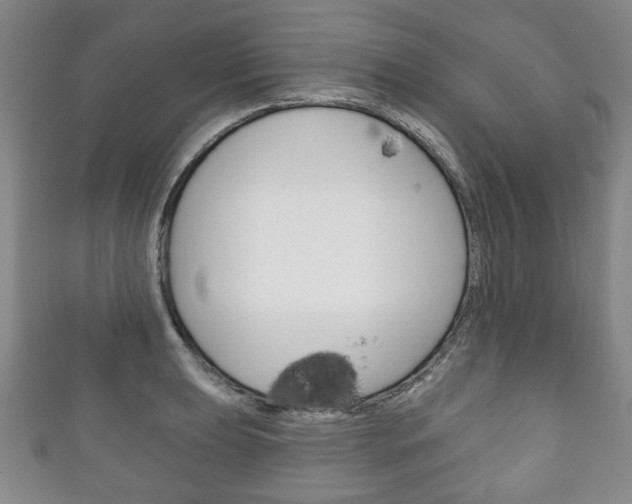 X0000111241039200907020955