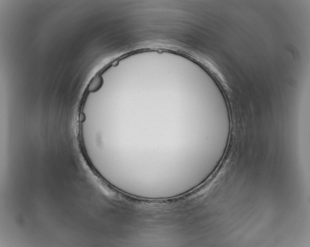 X0000111241040200907020955