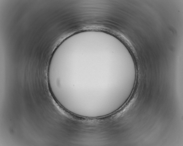 X0000111241041200907020955