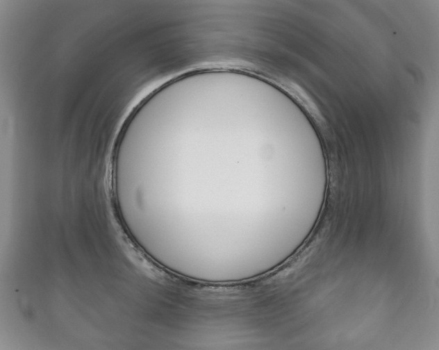 X0000111241044200907020955