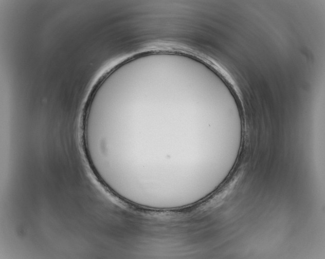 X0000111241045200907020955