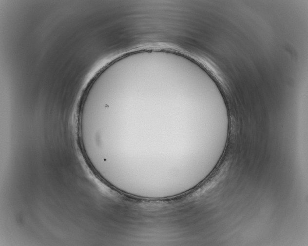 X0000111241046200907020955