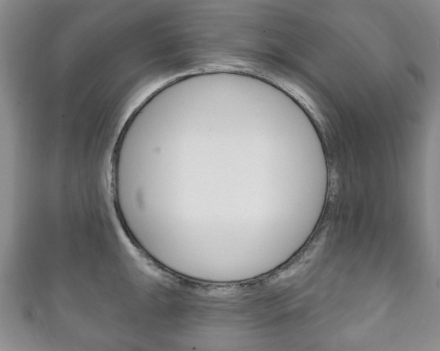 X0000111241047200907020955