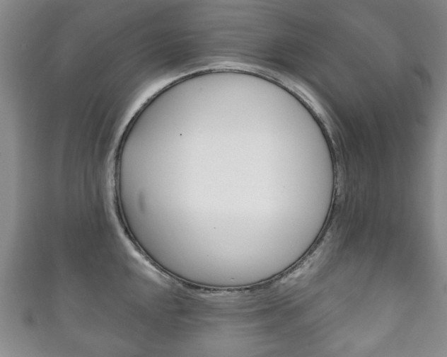 X0000111241048200907020955