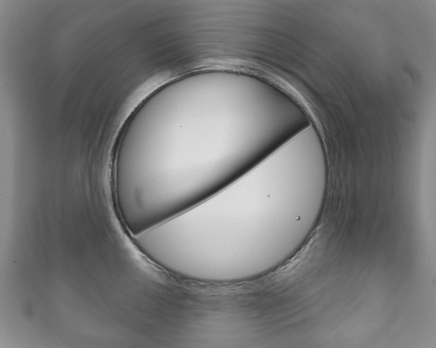 X0000111241050200907020955