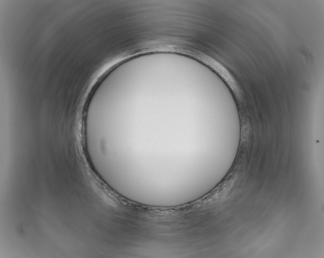 X0000111241051200907020955
