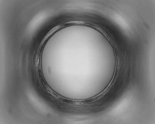 X0000111241052200907020955