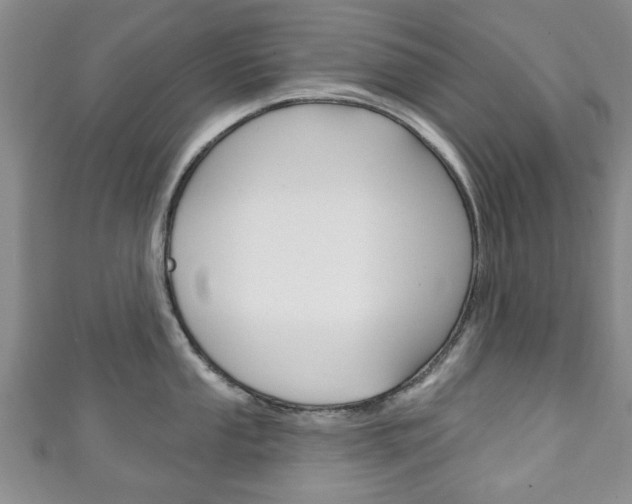 X0000111241053200907020955