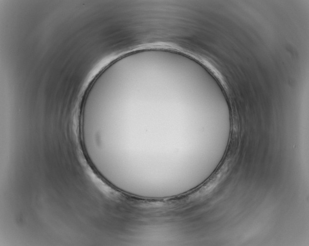 X0000111241054200907020955