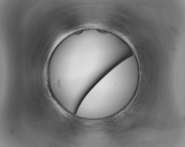 X0000111241056200907020955
