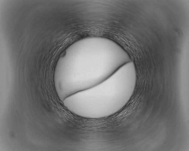 X0000111241057200907020954