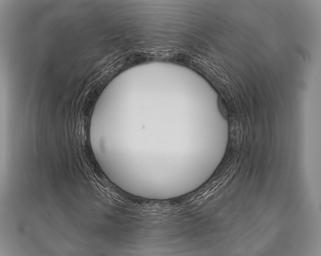 X0000111241058200907020954