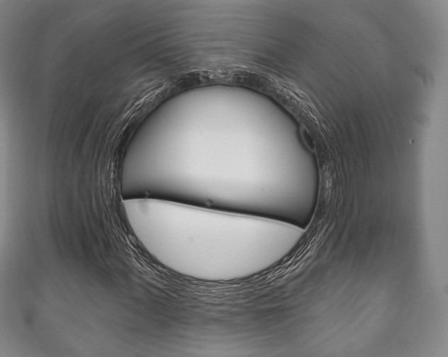 X0000111241060200907020954
