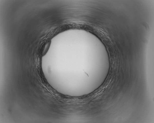 X0000111241061200907020954