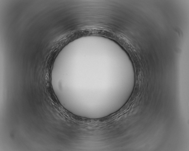 X0000111241062200907020954