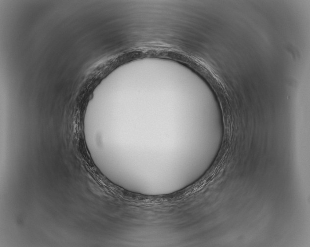 X0000111241063200907020954