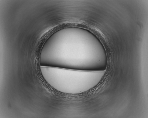 X0000111241064200907020954