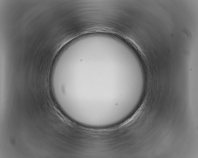 X0000111241065200907020954