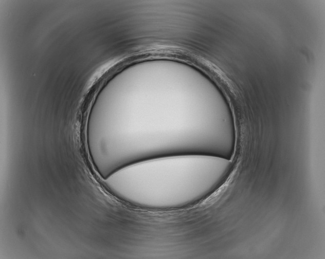 X0000111241066200907020954