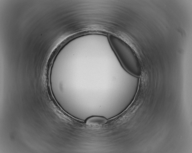 X0000111241068200907020954