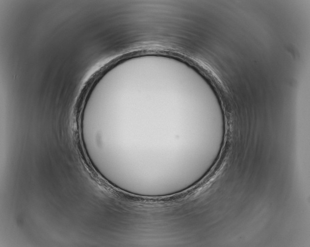 X0000111241070200907020954
