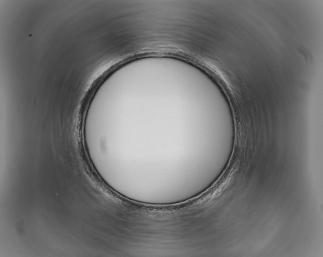 X0000111241071200907020954