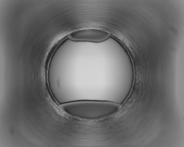 X0000111241072200907020954