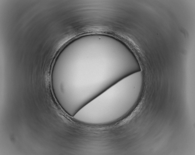 X0000111241073200907020954