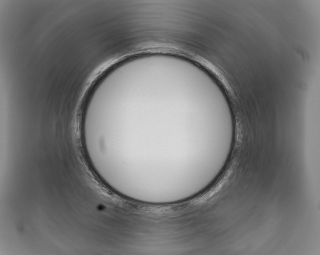 X0000111241074200907020954